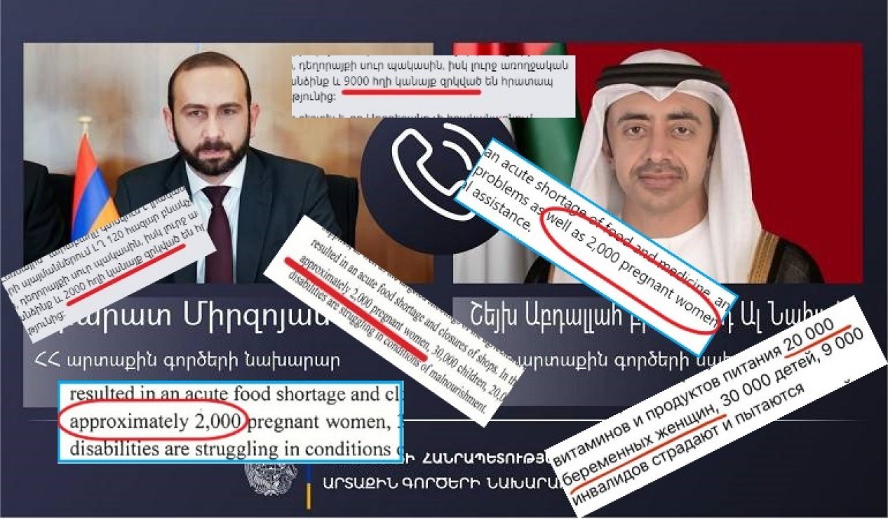 Armenian FM manipulating number of pregnant women of Armenian origin living in Karabakh economic region