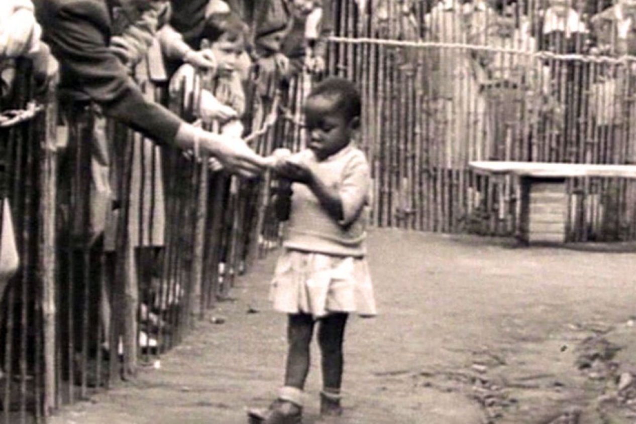 В 1950-х годах в Бельгии существовал «человеческий зоопарк»?