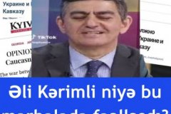 Əli Kərimli niyə bu mərhələdə fəallaşıb?