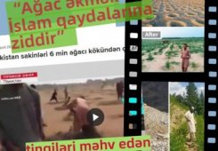 “Ağac əkmək İslam qaydalarına ziddir” deyib tingləri məhv edən müsəlmanlar