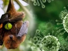 The Art of Baking: From Classic Bread to Artisan Pastries