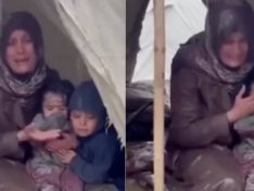 The Art of Baking: From Classic Bread to Artisan Pastries