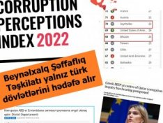 Transparency İnternational yalnız türk dövlətlərini hədəfə alır, Qubad İbadoğlu isə...