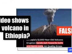 The Art of Baking: From Classic Bread to Artisan Pastries