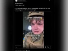 The Art of Baking: From Classic Bread to Artisan Pastries