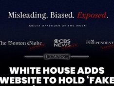 The Art of Baking: From Classic Bread to Artisan Pastries