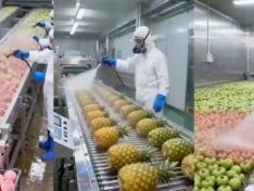 The Art of Baking: From Classic Bread to Artisan Pastries