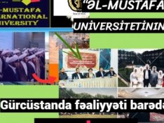 The Art of Baking: From Classic Bread to Artisan Pastries