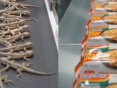Kertenkelelerden noodle yapıldığı gösteren video gerçek mi?