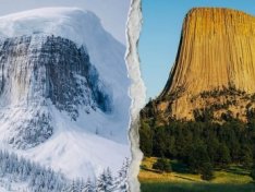 The Art of Baking: From Classic Bread to Artisan Pastries