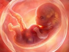 The Art of Baking: From Classic Bread to Artisan Pastries