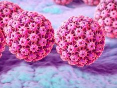 The Art of Baking: From Classic Bread to Artisan Pastries