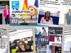 Как ЕС и уполномоченные лица закрывают глаза на незаконные действия, происходящие в Союзе