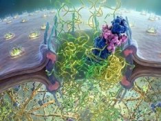 The Art of Baking: From Classic Bread to Artisan Pastries