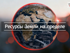 The Art of Baking: From Classic Bread to Artisan Pastries