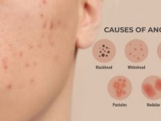 The Art of Baking: From Classic Bread to Artisan Pastries