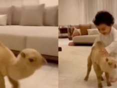 The Art of Baking: From Classic Bread to Artisan Pastries