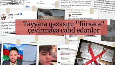Təyyarə qəzasını "fürsətə" çevirməyə cəhd edənlər