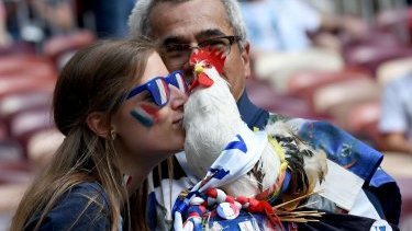 Sergey Lavrov: Fransızlar tez-tez xoruzlanırlar