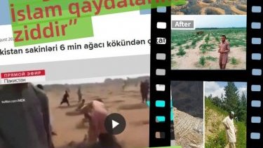 “Ağac əkmək İslam qaydalarına ziddir” deyib tingləri məhv edən müsəlmanlar