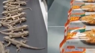 Kertenkelelerden noodle yapıldığı gösteren video gerçek mi?