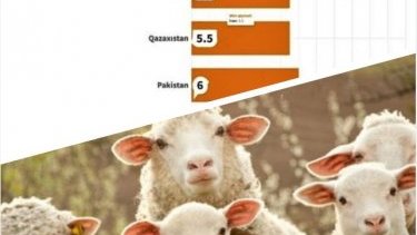 Qurbanlıq qoyun ətinin ən yüksək qiyməti Azərbaycanda qeydə alınıb?