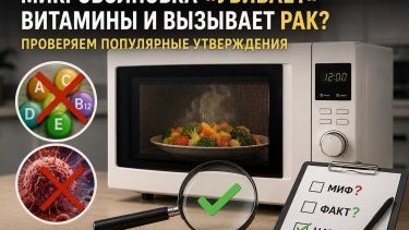 Микроволновка «убивает» витамины и вызывает рак? Проверяем популярные утверждения