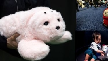 Fact Check Team: AI toys spark privacy concerns as US officials urge action on data risks