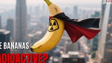 Правда ли, что все бананы радиоактивны?