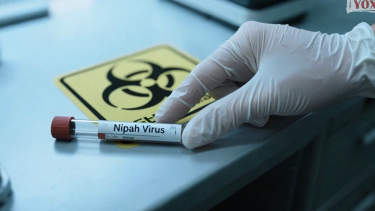 Nipah virusu: Pandemiya riski var?