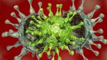 Адиль Гейбулла: вирулентность штамма "Дельта" очень высока