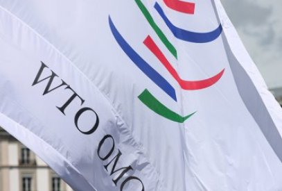 Why is Azerbaijan reluctant in joining WTO?