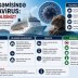 Kruiz gəmisində hantavirus: Yoluxma haqqında nə məlumdur və virus nə dərəcədə təhlükəlidir?
