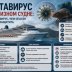 Хантавирус на круизном лайнере: что известно о вспышке и насколько опасен вирус