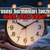 Yuxu prosesi hormonları tənzimləyir: doğru, yoxsa yalan?