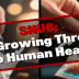 Snus: A Growing Threat to Human Health