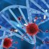 Covid vaccines have not been shown to cause ‘turbo cancer’