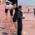 Hürmüz Boğazı'ndaki saldırıda kıyıya vuran telefonları toplayan insanları gösteren video gerçek mi?