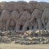 Правда ли, что существуют кладбища слонов?