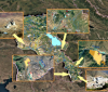 Which countries are represented by the companies “supporting” Armenia in the ecological terror against the Araz River? (Part 1)