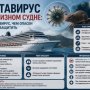 Хантавирус на круизном лайнере: что известно о вспышке и насколько опасен вирус
