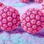 Meksikalı bilim insanının HPV'yi tamamen yok etmeyi başardığı iddiası
