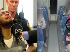 The Art of Baking: From Classic Bread to Artisan Pastries