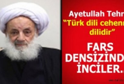 Who is the "Azerbaijani" who voiced Ayatollah's "Turkish is the language of hell" video?