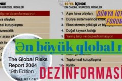 Biggest global risk for next 2 years: DISINFORMATION