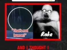 The Art of Baking: From Classic Bread to Artisan Pastries