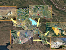 The Art of Baking: From Classic Bread to Artisan Pastries