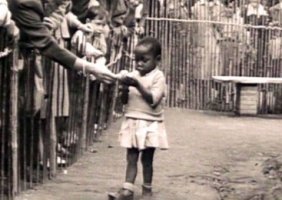 В 1950-х годах в Бельгии существовал «человеческий зоопарк»?